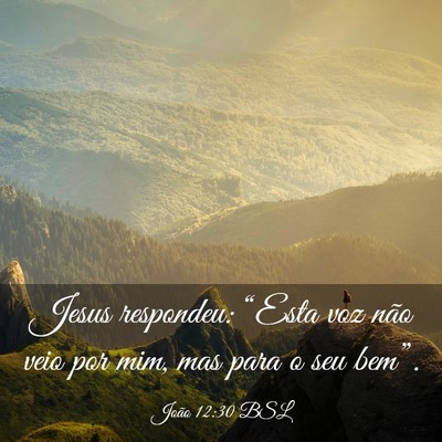 Picture 03 - João 12:30 BSL - Jesus respondeu: “Esta voz não veio por mim, - Bible Verse Picture