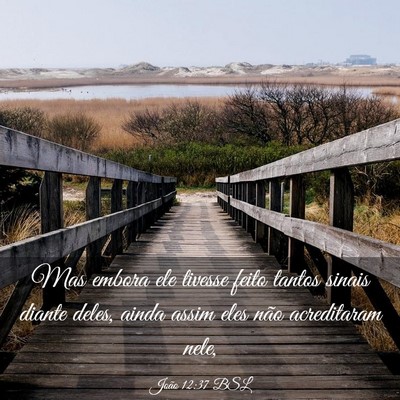 Picture 03 - João 12:37 BSL - Mas embora ele tivesse feito tantos sinais diante - Bible Verse Picture