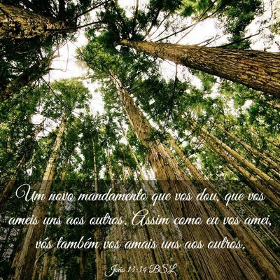 Picture 03 - João 13:34 BSL - Um novo mandamento que vos dou, que vos ameis uns - Bible Verse Picture