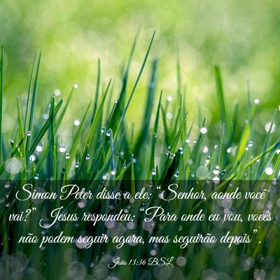 Picture 03 - João 13:36 BSL - Simon Peter disse a ele: “Senhor, aonde você - Bible Verse Picture