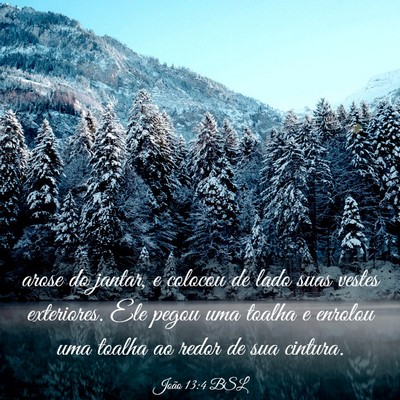 Picture 03 - João 13:4 BSL - arose do jantar, e colocou de lado suas vestes - Bible Verse Picture