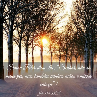 Picture 03 - João 13:9 BSL - Simon Peter disse-lhe: “Senhor, não só meus - Bible Verse Picture