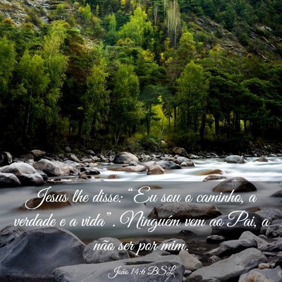 Picture 03 - João 14:6 BSL - Jesus lhe disse: “Eu sou o caminho, a verdade e - Bible Verse Picture