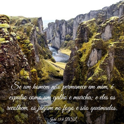 Picture 03 - João 15:6 BSL - Se um homem não permanece em mim, é expulso - Bible Verse Picture