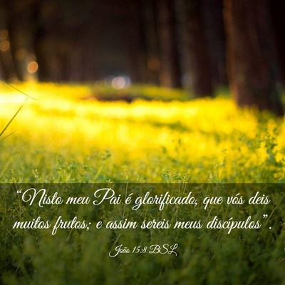 Picture 03 - João 15:8 BSL - “Nisto meu Pai é glorificado, que vós deis - Bible Verse Picture