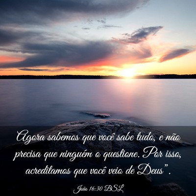 Picture 03 - João 16:30 BSL - Agora sabemos que você sabe tudo, e não precisa - Bible Verse Picture
