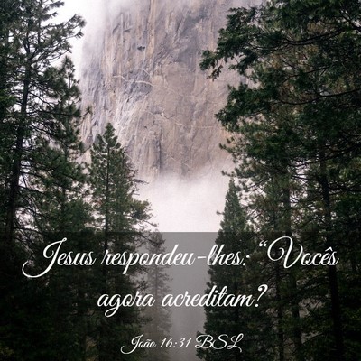 Picture 03 - João 16:31 BSL - Jesus respondeu-lhes: “Vocês agora - Bible Verse Picture