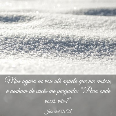 Picture 03 - João 16:5 BSL - Mas agora eu vou até aquele que me enviou, e - Bible Verse Picture