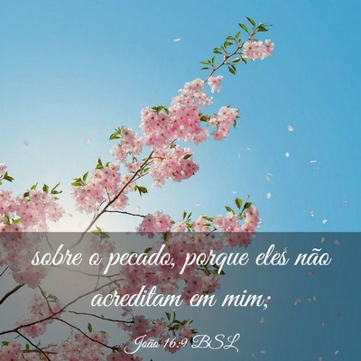 Picture 03 - João 16:9 BSL - sobre o pecado, porque eles não acreditam em - Bible Verse Picture