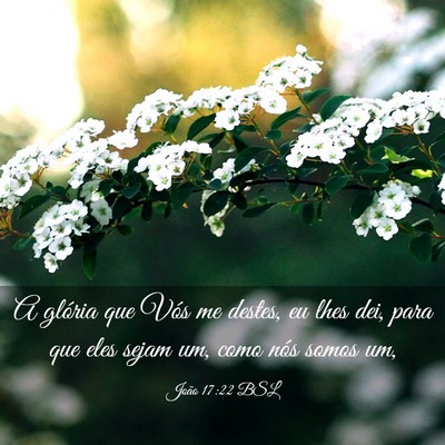 Picture 03 - João 17:22 BSL - A glória que Vós me destes, eu lhes dei, para - Bible Verse Picture