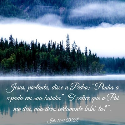 Picture 03 - João 18:11 BSL - Jesus, portanto, disse a Pedro: “Ponha a espada - Bible Verse Picture