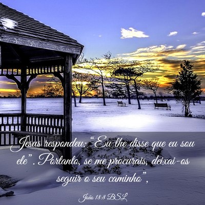 Picture 03 - João 18:8 BSL - Jesus respondeu: “Eu lhe disse que eu sou - Bible Verse Picture