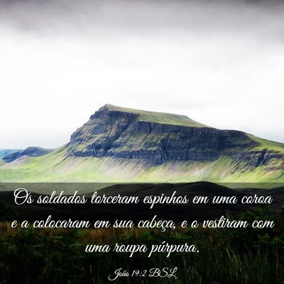 Picture 03 - João 19:2 BSL - Os soldados torceram espinhos em uma coroa e a - Bible Verse Picture