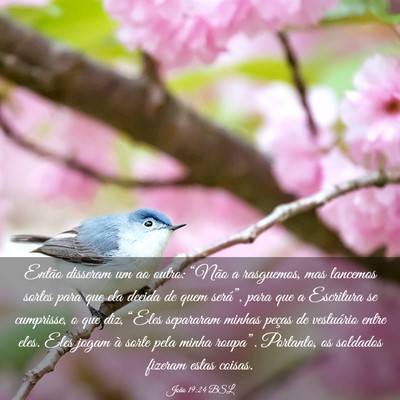 Picture 03 - João 19:24 BSL - Então disseram um ao outro: “Não a rasguemos, - Bible Verse Picture