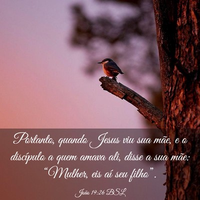 Picture 03 - João 19:26 BSL - Portanto, quando Jesus viu sua mãe, e o - Bible Verse Picture