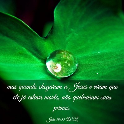 Picture 03 - João 19:33 BSL - mas quando chegaram a Jesus e viram que ele já - Bible Verse Picture