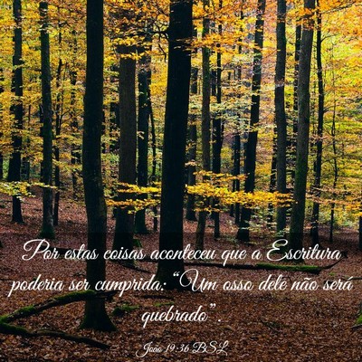 Picture 03 - João 19:36 BSL - Por estas coisas aconteceu que a Escritura - Bible Verse Picture