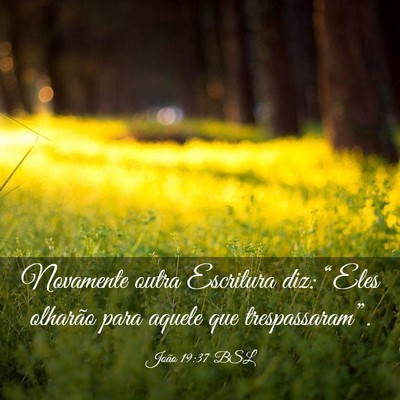 Picture 03 - João 19:37 BSL - Novamente outra Escritura diz: “Eles olharão - Bible Verse Picture