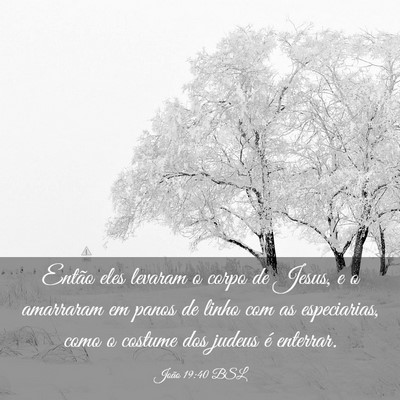 Picture 03 - João 19:40 BSL - Então eles levaram o corpo de Jesus, e o - Bible Verse Picture