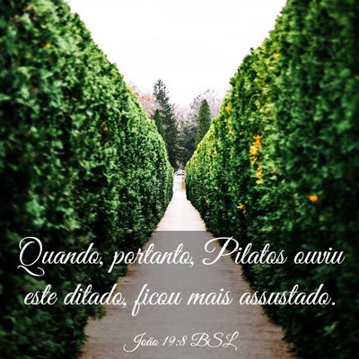 Picture 03 - João 19:8 BSL - Quando, portanto, Pilatos ouviu este ditado, - Bible Verse Picture