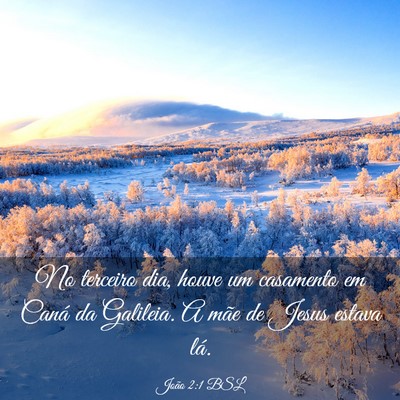 Picture 03 - João 2:1 BSL - No terceiro dia, houve um casamento em Caná da - Bible Verse Picture