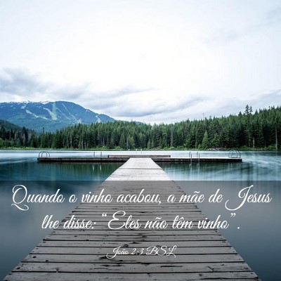 Picture 03 - João 2:3 BSL - Quando o vinho acabou, a mãe de Jesus lhe disse: - Bible Verse Picture