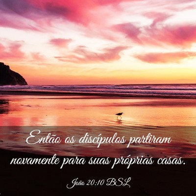 Picture 03 - João 20:10 BSL - Então os discípulos partiram novamente para - Bible Verse Picture