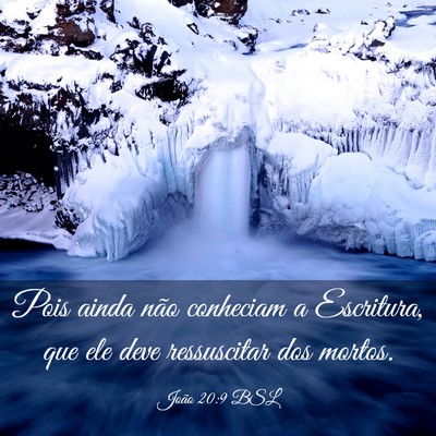 Picture 03 - João 20:9 BSL - Pois ainda não conheciam a Escritura, que ele - Bible Verse Picture