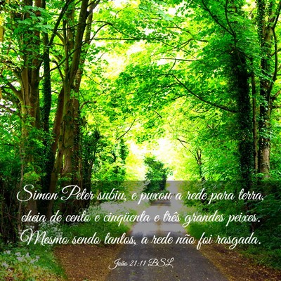 Picture 03 - João 21:11 BSL - Simon Peter subiu, e puxou a rede para terra, - Bible Verse Picture