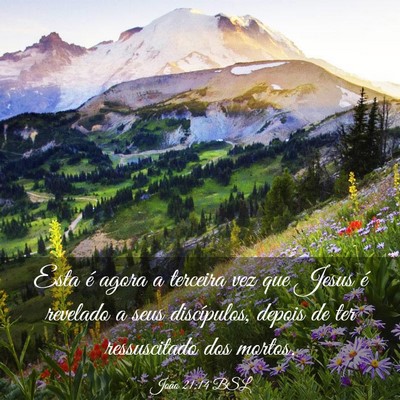 Picture 03 - João 21:14 BSL - Esta é agora a terceira vez que Jesus é - Bible Verse Picture