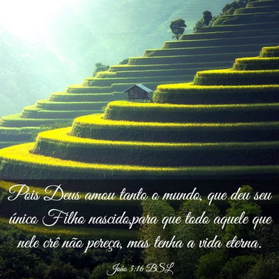 Picture 03 - João 3:16 BSL - Pois Deus amou tanto o mundo, que deu seu único - Bible Verse Picture