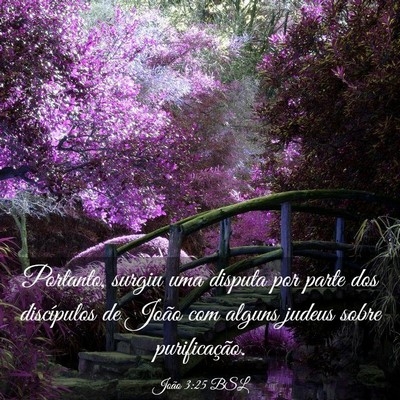 Picture 03 - João 3:25 BSL - Portanto, surgiu uma disputa por parte dos - Bible Verse Picture