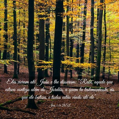 Picture 03 - João 3:26 BSL - Eles vieram até João e lhe disseram: “Rabi, - Bible Verse Picture
