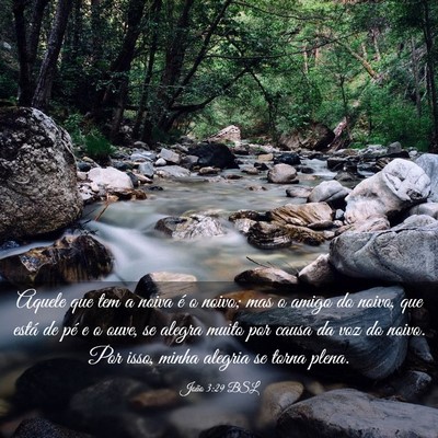 Picture 03 - João 3:29 BSL - Aquele que tem a noiva é o noivo; mas o amigo do - Bible Verse Picture