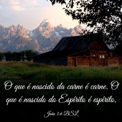 Picture 03 - João 3:6 BSL - O que é nascido da carne é carne. O que é - Bible Verse Picture