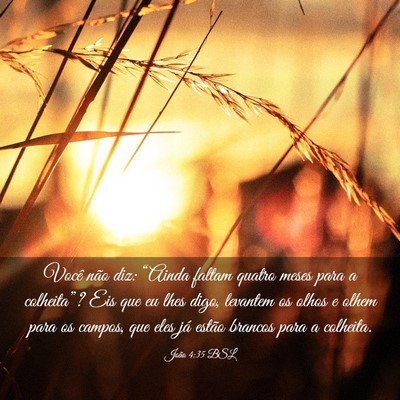 Picture 03 - João 4:35 BSL - Você não diz: “Ainda faltam quatro meses para - Bible Verse Picture
