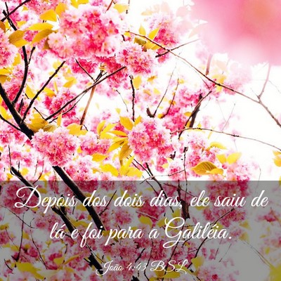 Picture 03 - João 4:43 BSL - Depois dos dois dias, ele saiu de lá e foi para - Bible Verse Picture