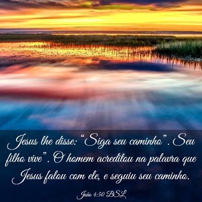Picture 03 - João 4:50 BSL - Jesus lhe disse: “Siga seu caminho”. Seu - Bible Verse Picture