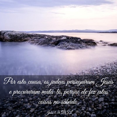 Picture 03 - João 5:16 BSL - Por esta causa, os judeus perseguiram Jesus e - Bible Verse Picture