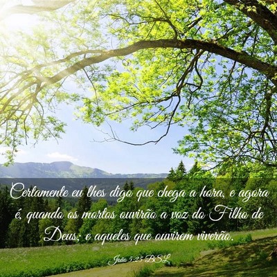 Picture 03 - João 5:25 BSL - Certamente eu lhes digo que chega a hora, e agora - Bible Verse Picture