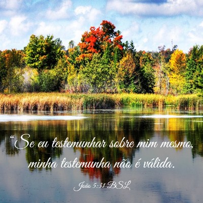 Picture 03 - João 5:31 BSL - “Se eu testemunhar sobre mim mesmo, minha - Bible Verse Picture