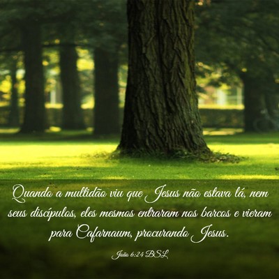 Picture 03 - João 6:24 BSL - Quando a multidão viu que Jesus não estava lá, - Bible Verse Picture