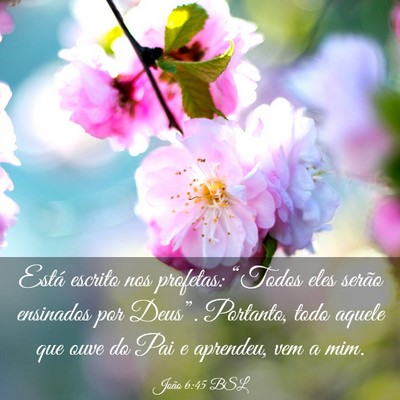 Picture 03 - João 6:45 BSL - Está escrito nos profetas: “Todos eles serão - Bible Verse Picture