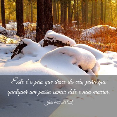 Picture 03 - João 6:50 BSL - Este é o pão que desce do céu, para que - Bible Verse Picture