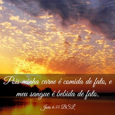 Picture 03 - João 6:55 BSL - Pois minha carne é comida de fato, e meu sangue - Bible Verse Picture