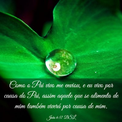 Picture 03 - João 6:57 BSL - Como o Pai vivo me enviou, e eu vivo por causa do - Bible Verse Picture