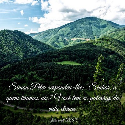 Picture 03 - João 6:68 BSL - Simon Peter respondeu-lhe: “Senhor, a quem - Bible Verse Picture