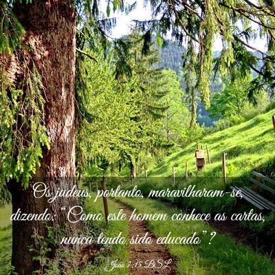 Picture 03 - João 7:15 BSL - Os judeus, portanto, maravilharam-se, dizendo: - Bible Verse Picture