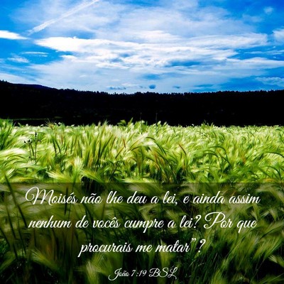 Picture 03 - João 7:19 BSL - Moisés não lhe deu a lei, e ainda assim nenhum - Bible Verse Picture