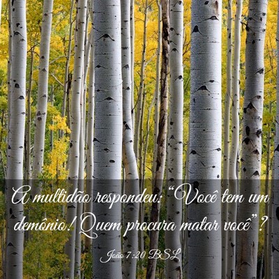 Picture 03 - João 7:20 BSL - A multidão respondeu: “Você tem um demônio! - Bible Verse Picture